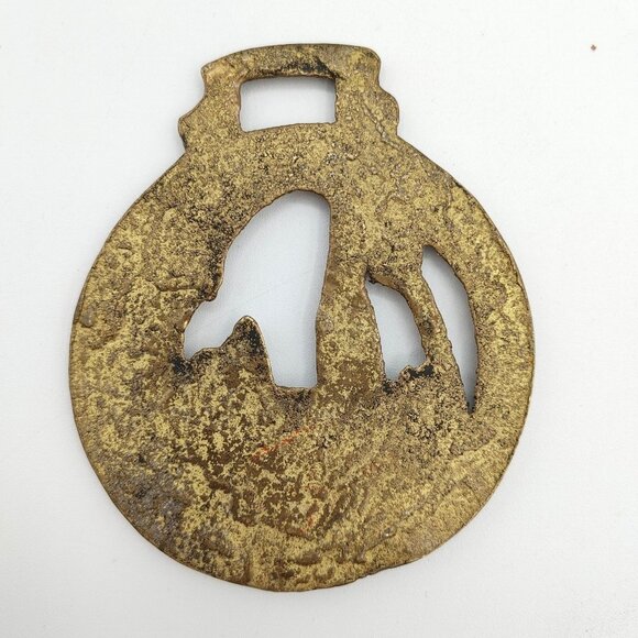 Chester Cathedral Horse Brass Type Plaque - Picture 2 of 2